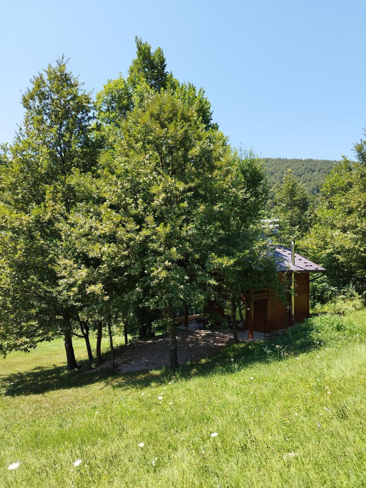 Kuca U Sumi - Forest House Near National Park Una - Air Spa Lohovo Bihac Exterior photo